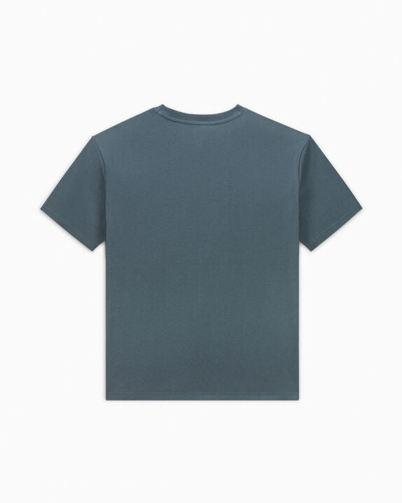 #color_Newtral Teal