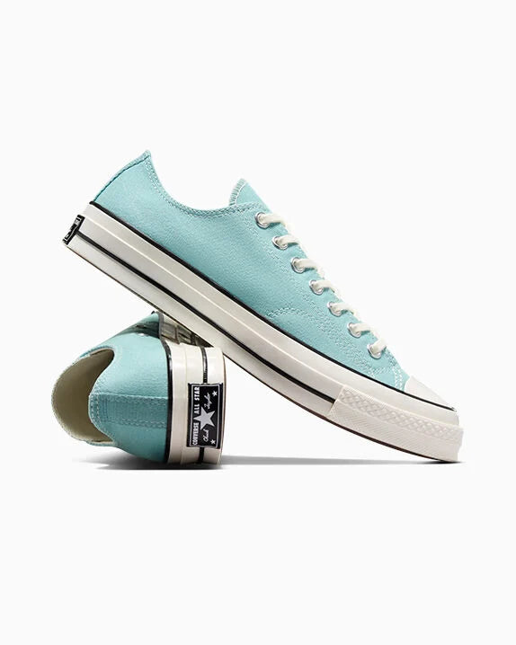 #color_Vernal Pool/Egret/Black