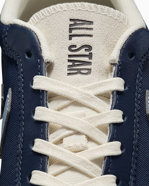 #color_Obsidian/Wet Stone/Egret