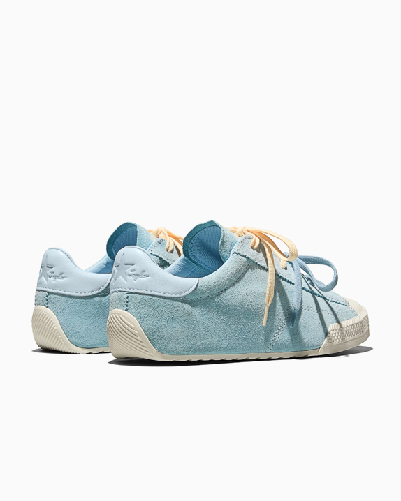 #color_Clear Skies/Golden View/Egret