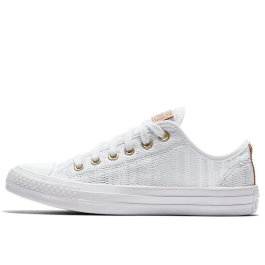 Converse chuck taylor mesh store