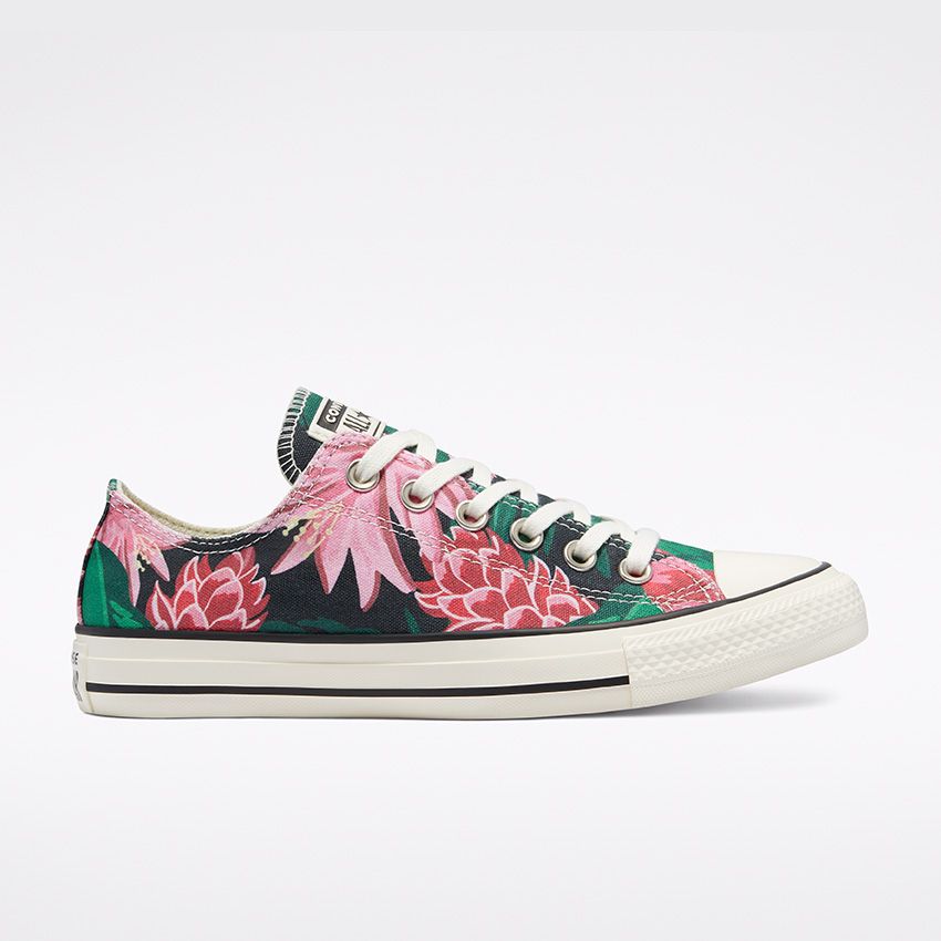 Converse basse chuck discount taylor all star